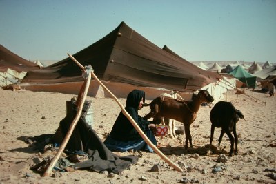 Des réfugiés sahraouis au camp de Tindouf.