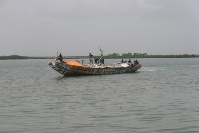 Fishermen on a boat on Casamance river on the shores of Ziguinchor - pecheurs en pirogue sur le fleuve casamance - fishing - peche