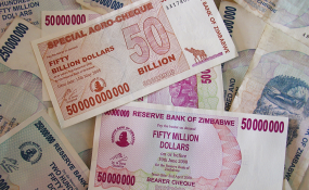 dollarization in zimbabwe
