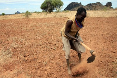 A farmer tries to plant through ongoing drought (file photo).