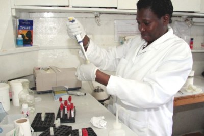 File Photo.A technician prepares blood for testing.
