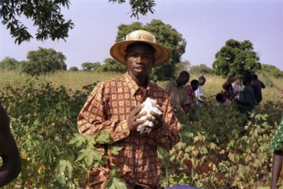 A cotton farmer.