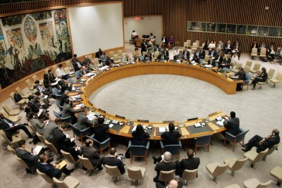 The United Nations Security Council discusses the situation in Côte d'Ivoire in June 2010.