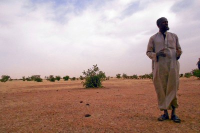 Cheikh Tijani lives on a plain that should be used as pasture for animals, but lack of rain means the pasture is scarce.