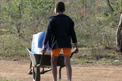 A child pushes a wheelbarrow with water.
