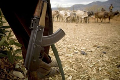 Armed herder (file photo): One person has been killed and over 3,000 displaced by bandits in Marigat, Baringo county.