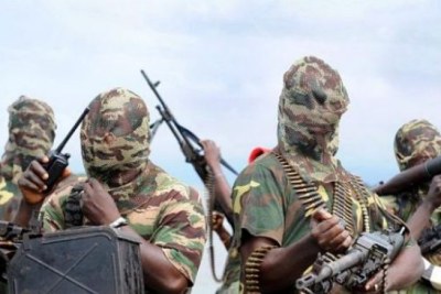 Boko Haram militants.