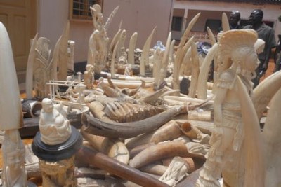 Objets en ivoire