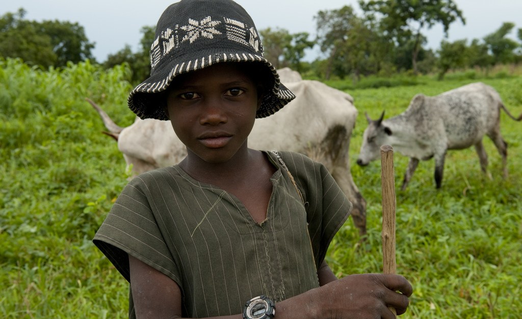 Африканская 21. Африканская молодежь. Сирил рамафоса. Nigeria agriculture. Африканская 21.