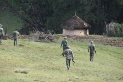 Forest guards arrive in Kenya's Embobut Forest in preparation for the evictions.