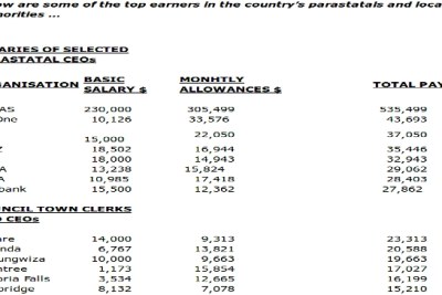 Top earners in the country's parastatals and local authorities.