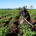 Secure Land Rights: Food Security Depends On It