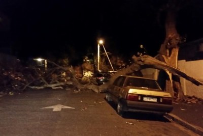 Wind damage in Gardens, Cape Town.