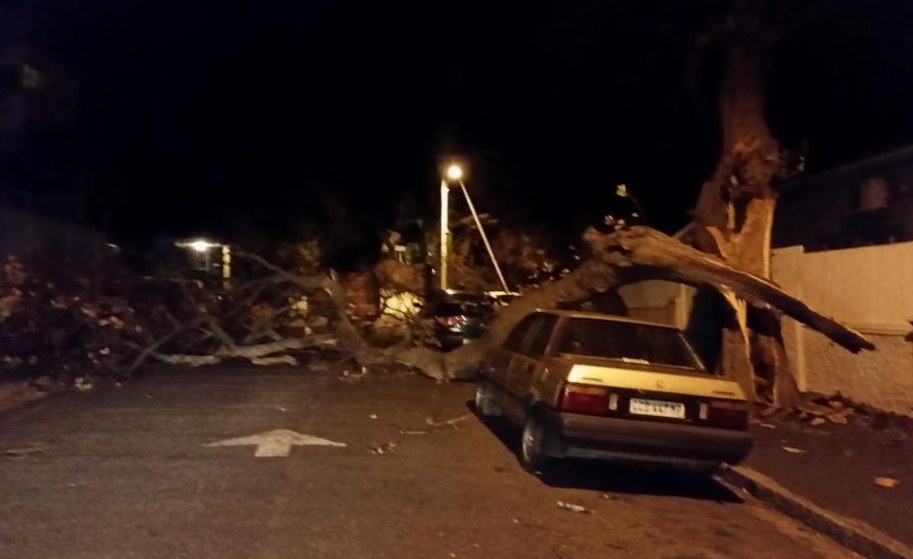 strong-winds-in-south-africa-cause-havoc-allafrica