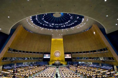Assemblée des Nations Unies