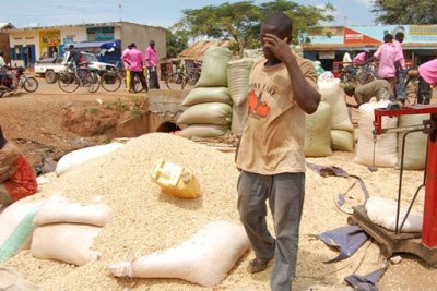 A farmer prepares maize for sale (file photo).