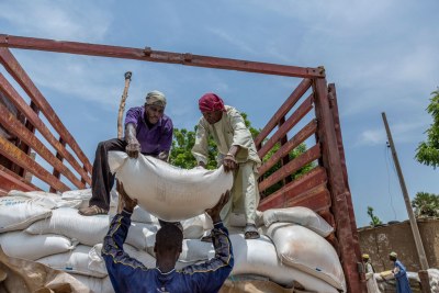 De l’aide alimentaire en cours de distribution aux populations déplacées dans le camp de Banki, Etat de Borno, dans le nord-ouest du Nigéria.