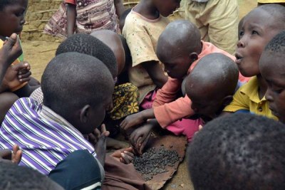 Children from Ngamani village in Ganze eat wild seeds.