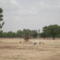 Farmers Prepare for a Climate-Insecure Future in Mali