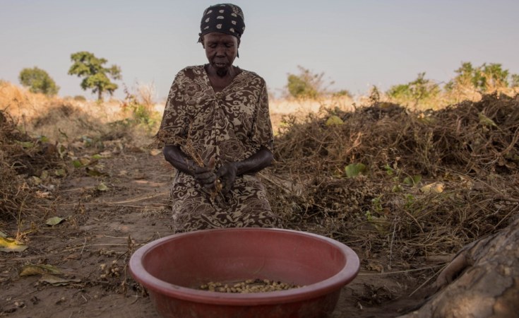 South Sudan Nonprofit Calls for Restriction on Imported Seeds