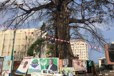 Des affiches des candidats à la présidence sont placées autour de l'arbre de coton, le symbole historique de la Sierra Leone, à Freetown.