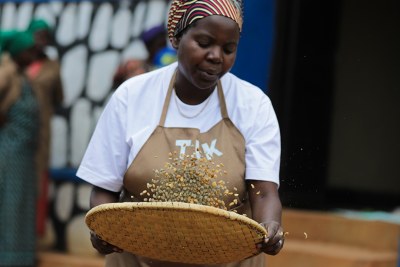 A coffee farmer in Rukara, Kayonza District (file photo).
