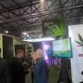Cannabis Expo Sheds Light on Budding Marijuana Industry in South Africa