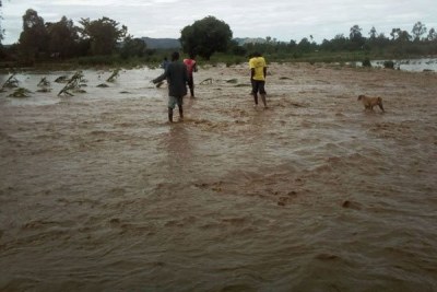 Residents search for the body of a woman who drowned in River Malaba