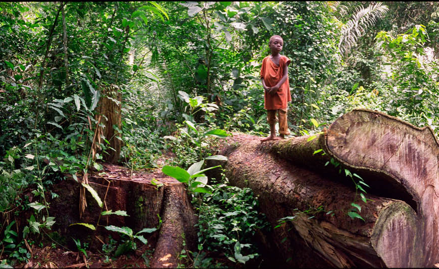 Central Africa: Nature Conservation Projects Marred By Human Rights