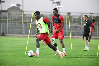 Harambee Stars coach Sebastien Migne (right) shouts instructions to his players during a training session at the 30 June Stadium Annex 1 in Cairo, Egypt on June 24, 2019.