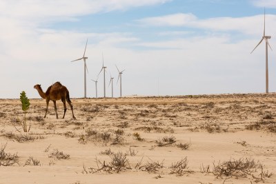 Un parc éolien à la périphérie de Nouakchott, la capitale de la Mauritanie, vise à permettre à davantage de personnes d'avoir accès à des sources d'énergie renouvelables.