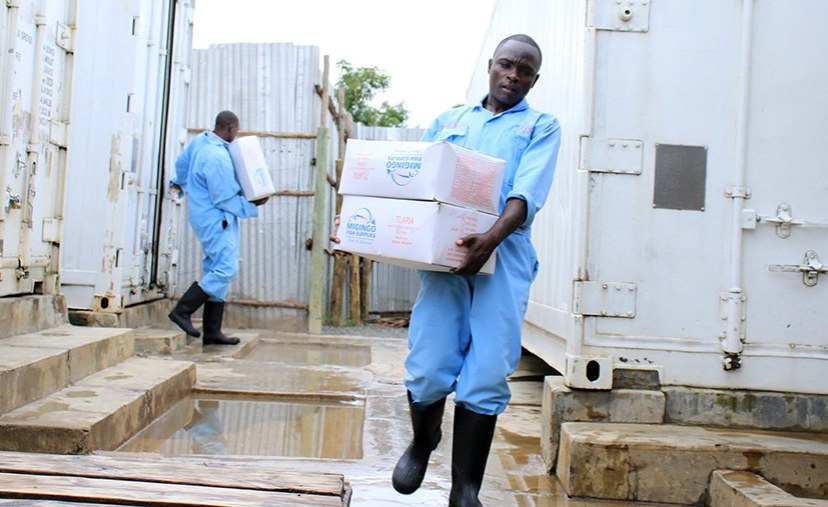 Kenya: Taita Taveta Fishermen Call for a Share of Blue Economy Benefits