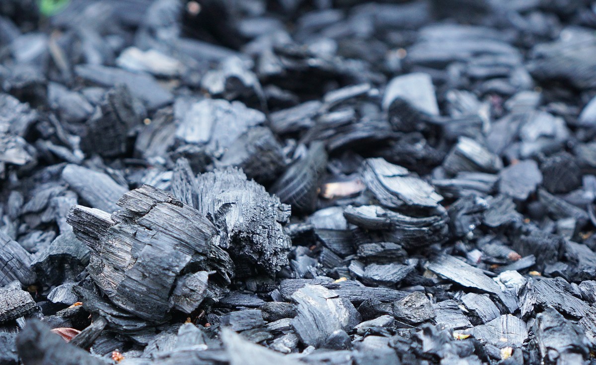 Kenya: Charcoal Bans Have Fuelled a Smuggling Problem