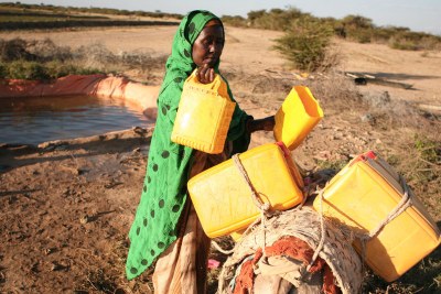 Somalia’s drought has left millions facing severe food and water shortages (file photo).