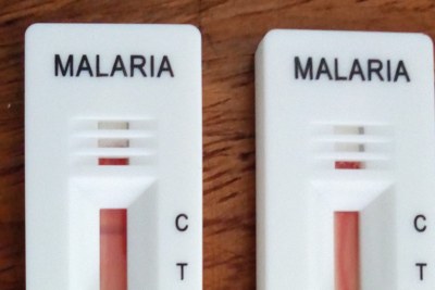 A rapid diagnostic test kit for malaria in Benin in November 2020.