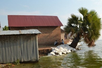Ce n'est pas la saison des pluies dans la région du lac Albert, en Ouganda et pourtant la montée des eaux du lac force les riverains à partir.