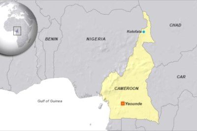A map showing the location of Cameroon in West Africa (file photo).