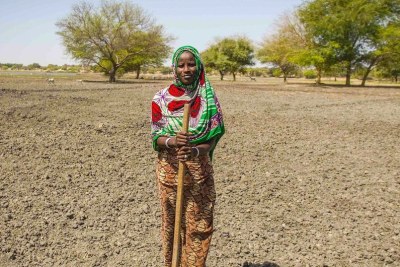 Les agriculteurs dans la région du Sahel, y compris au Tchad (sur cette photo), ont du mal à cultiver.