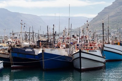 Small-scale fishing permits have finally been granted in the Western Cape (file photo).