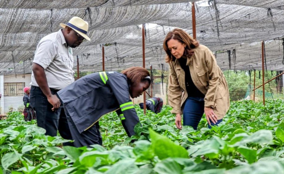 Africa: Kamala Harris Also can honest aloof Pursue Africa Priorities if She Becomes President thumbnail