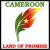 Cameroon Land Of Promise Project